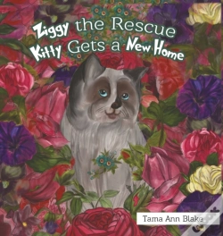 Capa do artigo Ziggy The Rescue Kitty Gets A New Home