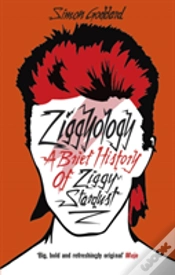 Capa do artigo Ziggyology