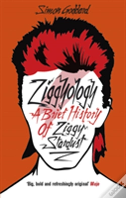 Capa do artigo Ziggyology
