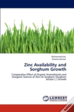 Capa do artigo Zinc Availability And Sorghum Growth