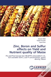 Capa do artigo Zinc, Boron And Sulfur Effects On Yield And Nutrient Quality Of Maize