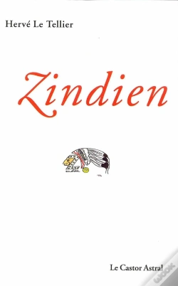 Capa do artigo Zindien