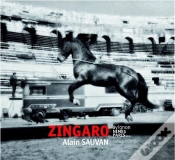 Capa do artigo Zingaro
