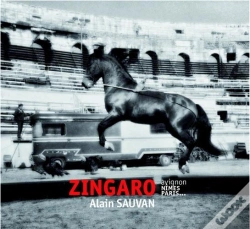 Capa do artigo Zingaro