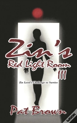 Capa do artigo Zin'S Red Light Room Iii