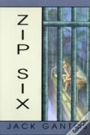 Capa do artigo Zip Six