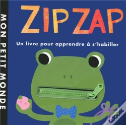 Capa do artigo Zip Zap