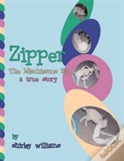 Capa do artigo Zipper - The Mischievous Kid