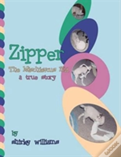 Capa do artigo Zipper - The Mischievous Kid