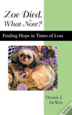Capa do artigo Zoe Died. What Now?
