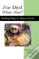 Zoe Died. What Now?