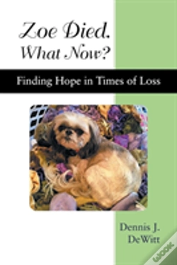 Capa do artigo Zoe Died. What Now?