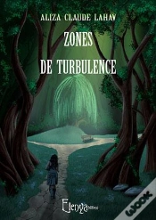 Capa do artigo Zones De Turbulence