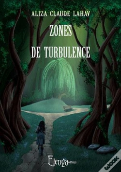Capa do artigo Zones De Turbulence