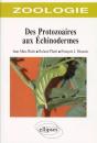 Zoologie Des Protozoaires Aux Échinodermes - Preview