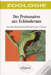 Zoologie Des Protozoaires Aux Échinodermes