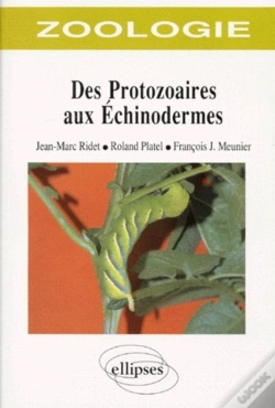 Capa do artigo Zoologie Des Protozoaires Aux Échinodermes