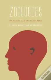 Capa do artigo Zoologies
