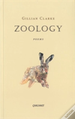 Capa do artigo Zoology