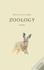 Capa do artigo Zoology