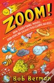 Capa do artigo Zoom!