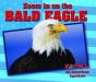 Zoom In On The Bald Eagle - Preview