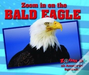 Capa do artigo Zoom In On The Bald Eagle