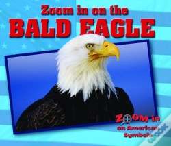 Capa do artigo Zoom In On The Bald Eagle