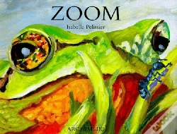 Capa do artigo Zoom