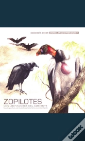 Capa do artigo Zopilotes