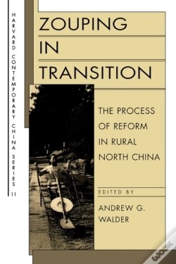 Capa do artigo Zouping In Transition