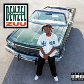 Capa do artigo ZUU - Vinil