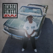 Capa do artigo Zuu - Vinil