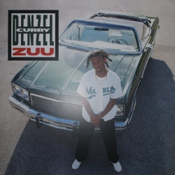 Capa do artigo Zuu - Vinil