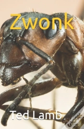 Capa do artigo Zwonk